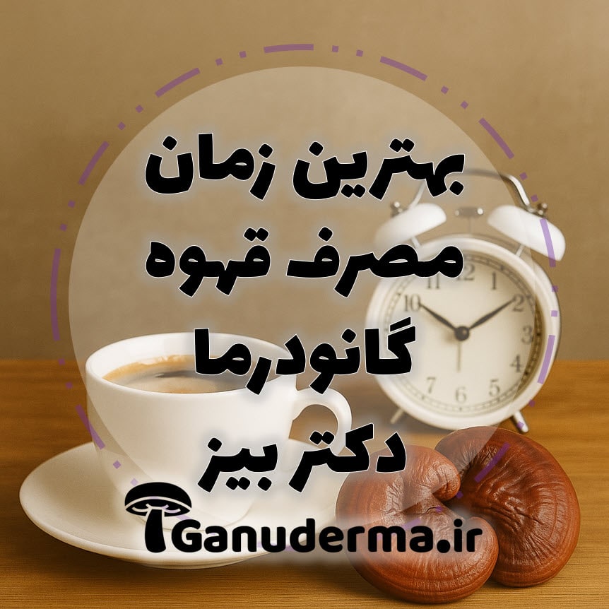 بهترین زمان مصرف قهوه گانودرما دکتر بیز